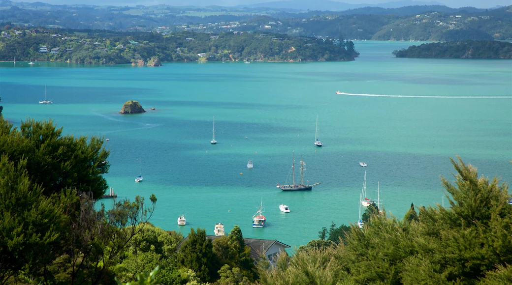 what to do in the bay of islands